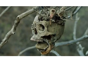 I Wanted to Stream a Horror-Western, and Netflix Has the Best Movie That Does Both