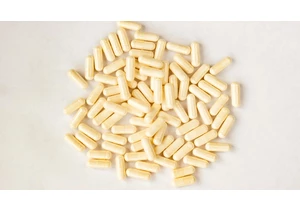 Best Probiotic Supplements for Gut Health     - CNET