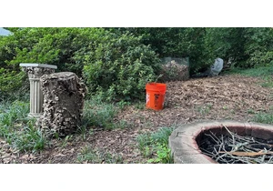 Try the Mosquito Bucket of Death