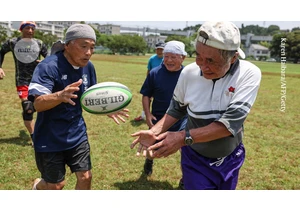 Ageing accelerates around age 50 ― some organs faster than others