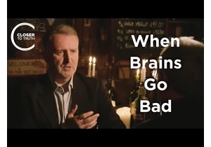 Barry Smith - When Brains Go Bad