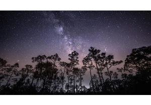 The Eta Aquarid Meteor Shower Will Peak Monday Night: Here's How to Watch
