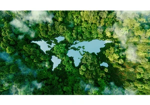 Climate needs a rebrand, and what’s driving change is surprising