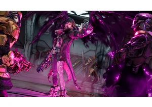 Gearbox CEO Randy Pitchford's $80 "real fan" price tag overlooks one long-term cost