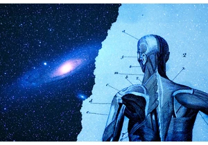 Wish you could escape the planet? Too bad life in space would suck