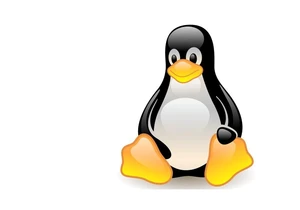 Several major Linux distros hit by serious Sudo security flaws