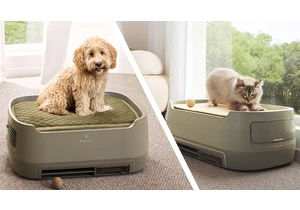  I'm obsessed with this pet bed-air purifier combo that apparently sucks up hair, dander, and pet smells right at the source 