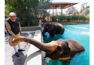 Indická zoo Vantara čelí vyšetřování. Tisíce zvířat tam poslal český obchodník