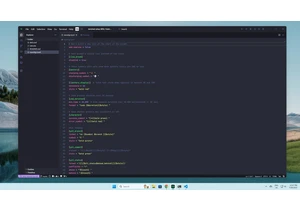 TikTok's owner forked Microsoft's Visual Studio Code and concerns have been raised — reports suggest it's resource heavy and never stops 'phoning home' 