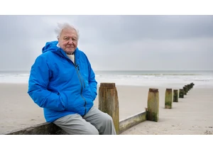 David Attenborough at 99: 'I will not see how the story ends'