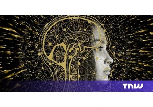 The Netherlands is building a leading neuromorphic computing industry