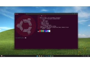 Microsoft open sources the Windows Subsystem for Linux — invites developers to help more seamlessly integrate Linux with Windows