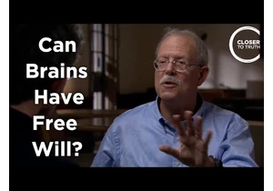 Eran Zaidel - Can Brains Have Free Will?