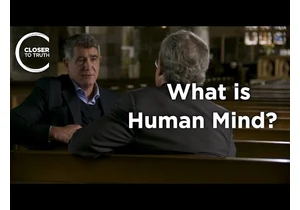 Michael Murray - What is Human Mind?