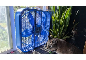 Here's How I Cooled My Bedroom Fast Without Turning On the AC