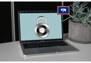 Best VPN for Wyoming: Pornhub workarounds