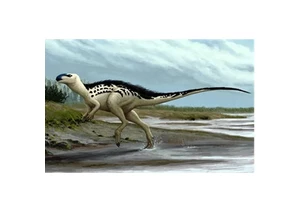 Objevy fosilií druhohorních dinosaurů na území České republiky