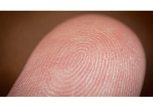 We have reached the "severed fingers and abductions" stage of crypto revolution