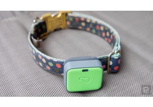 Whistle pet trackers are shutting down next month