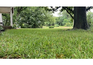 This Essential Lawn-Mowing Tip Will Keep Your Grass From Dying in Summer Heat