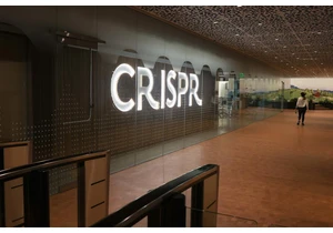 CRISPR can stop malaria spread by editing a single gene in mosquitos