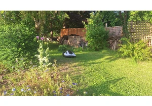 I tried setting up my first lawnbot and the experience nearly broke me – these are the mistakes I made that you need to avoid