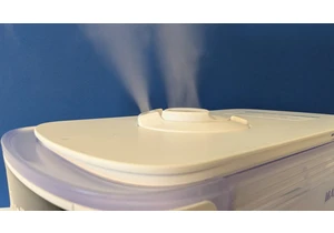 Can a Humidifier Make Your Dry Spring Air Bearable? We Asked an Expert