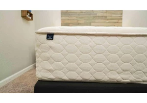 WinkBed EcoCloud Mattress Review 2024: A Latex Hybrid Bed for Side Sleepers     - CNET