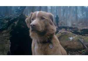  The Good Boy trailer is the hardest watch of 2025, and the new horror movie hasn’t even been released yet 