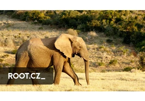 Rozšíření PostgreSQL jménem pgvector, embedding a sémantické vyhledávání (1. část)