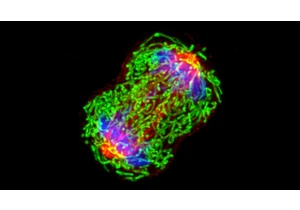 Cancer DNA is detectable in blood years before diagnosis