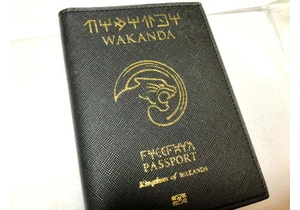 Reading NFC Passport Chips in Linux