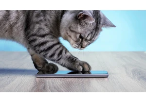The Top 8 Gadgets to Get the Loved Pet in Your Life