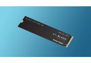 Just like many Windows 10 users, some SSDs are snubbing Windows 11, too