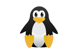  US government warns on critical Linux security flaw, urges users to patch immediately 