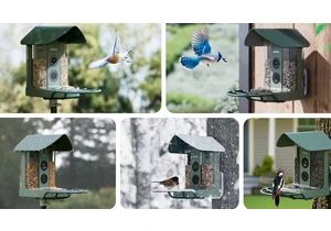 Finally, a bird feeder camera with 4K video, plus it has some handy features for any garden