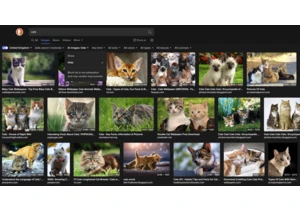 Sick of seeing AI images everywhere online? DuckDuckGo will let you filter out the slop from your search results