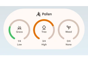 How to measure pollen levels with the Pixel’s excellent Weather app