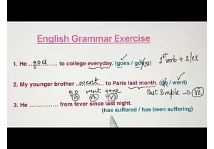 English Grammar Exercise