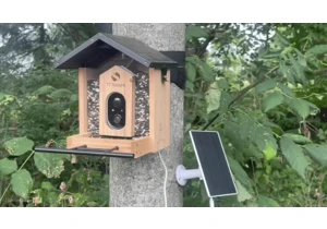 Game-Changer for Birdwatchers: This Solar Bird Feeder has an AI Camera