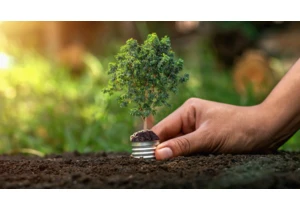  The roadmap to sustainable IT 
