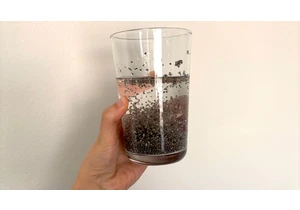 Chia Seed Water: Benefits, Drawbacks and How to Make It