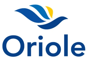Bridged Indexes in OrioleDB: architecture, internals and everyday use?