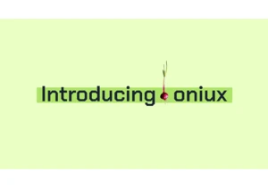 Oniux: Kernel-level Tor isolation for any Linux app