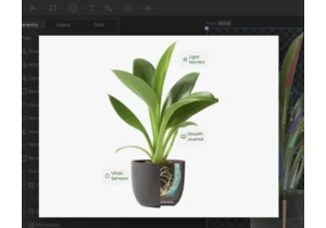 Micro-Animations Every Web Developer Can Master with Rive