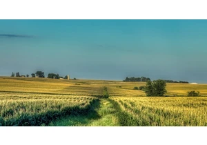 Big agriculture mislead the public about the benefits of biofuels