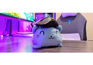 This is supposed to be the best gaming mouse for $100 — I don't know about that, but it is really good