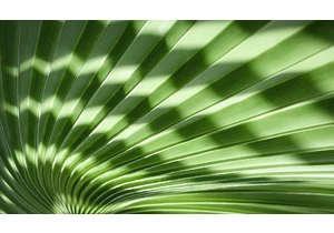 Harnessing Elastic APIs for custom AI-driven SOAR