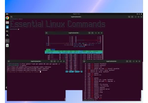 The Essential Linux commands that every user needs to know
