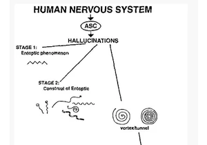 NMDA Receptor Antagonists: Slightly More Than You Wanted to Know